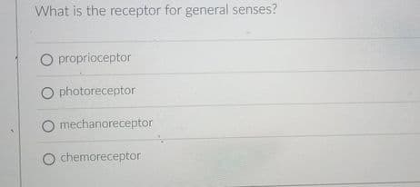 What is the receptor for general senses?
O proprioceptor
O photoreceptor
O mechanoreceptor
chemoreceptor
