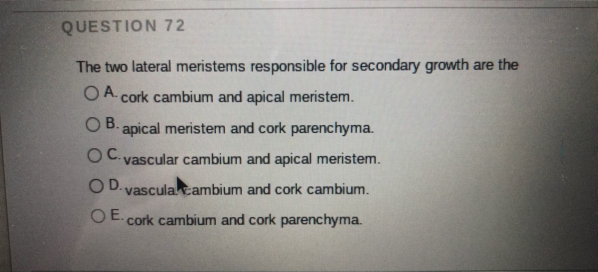 QUESTION 72
The two lateral meristems responsible for secondary growth are the
O A. cork cambium and apical meristem.
OB. apical meristem and cork parenchyma.
B.
OL vascular cambium and apical meristem.
O D. vasculacambium and cork cambium.
O E. cork cambium and cork parenchyma.
