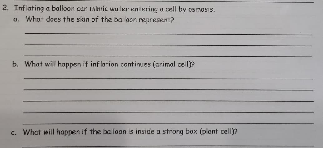 2. Inflating a balloon can mimic water entering a cell by osmosis.
a. What does the skin of the balloon represent?
b. What will happen if inflation continues (animal cell)?
c. What will happen if the balloon is inside a strong box (plant cell)?
