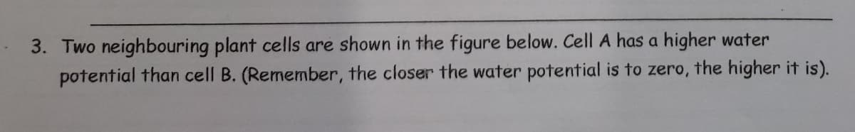 3. Two neighbouring plant cells are shown in the figure below. Cell A has a higher water
potential than cell B. (Remember, the closer the water potential is to zero, the higher it is).
