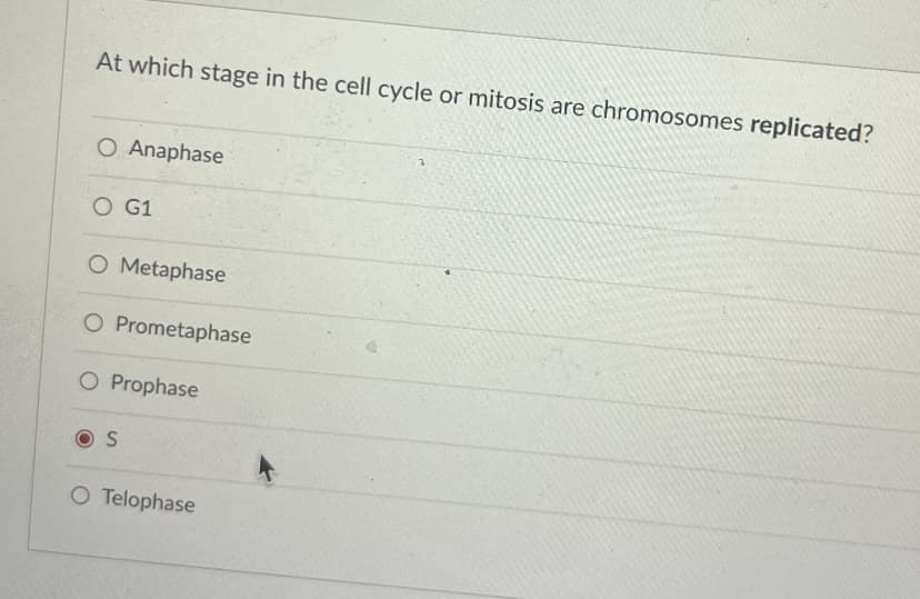 At which stage in the cell cycle or mitosis are chromosomes replicated?
O Anaphase
O G1
O Metaphase
O Prometaphase
O Prophase
O Telophase
