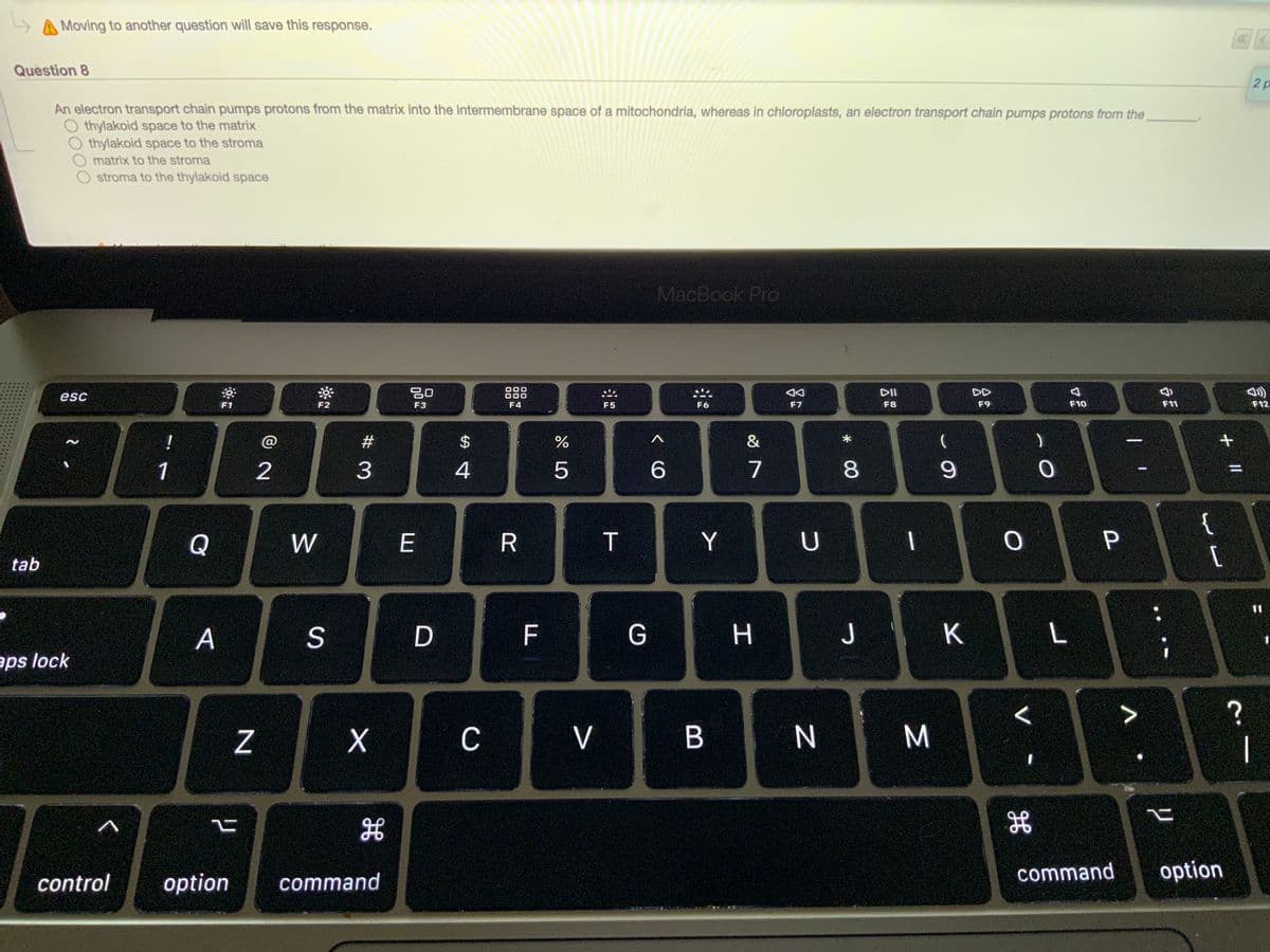 » A Moving to another question will save this response.
Question 8
An electron transport chain pumps protons from the matrix into the intermembrane space of a mitochondria, whereas in chloroplasts, an electron transport chain pumps protons from the
thylakoid space to the matrix
thylakoid space to the stroma
O matrix to the stroma
stroma to the thylakoid space
MacBook Pro
000
DD
esc
F1
F2
F3
F4
F5
F6
F7
F8
F9
F10
F11
F12
!
#3
2$
&
|
1
2
3
4
5
6
7
8.
{
Q
W
E
R
T
Y
tab
A
| D
F
G
H
J
L
aps lock
?
C
V
M.
|
command
option
control
option
command
