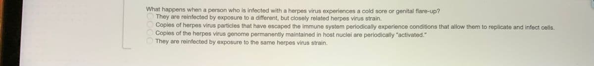 What happens when a person who is infected with a herpes virus experiences a cold sore or genital flare-up?
They are reinfected by exposure to a different, but closely related herpes virus strain.
Copies of herpes virus particles that have escaped the immune system periodically experience conditions that allow them to replicate and infect cells.
Copies of the herpes virus genome permanently maintained in host nuclei are periodically "activated."
They are reinfected by exposure to the same herpes virus strain.
