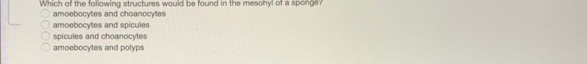 Which of the following structures would be found in the mesohyl of a sponge?
amoebocytes and choanocytes
amoebocytes and spicules
spicules and choạnocytes
amoebocytes and polyps
