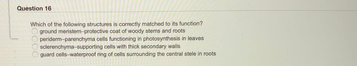 Question 16
Which of the following structures is correctly matched to its function?
ground meristem-protective coat of woody stems and roots
periderm-parenchyma cells functioning in photosynthesis in leaves
sclerenchyma-supporting cells with thick secondary walls
guard cells-waterproof ring of cells surrounding the central stele in roots
