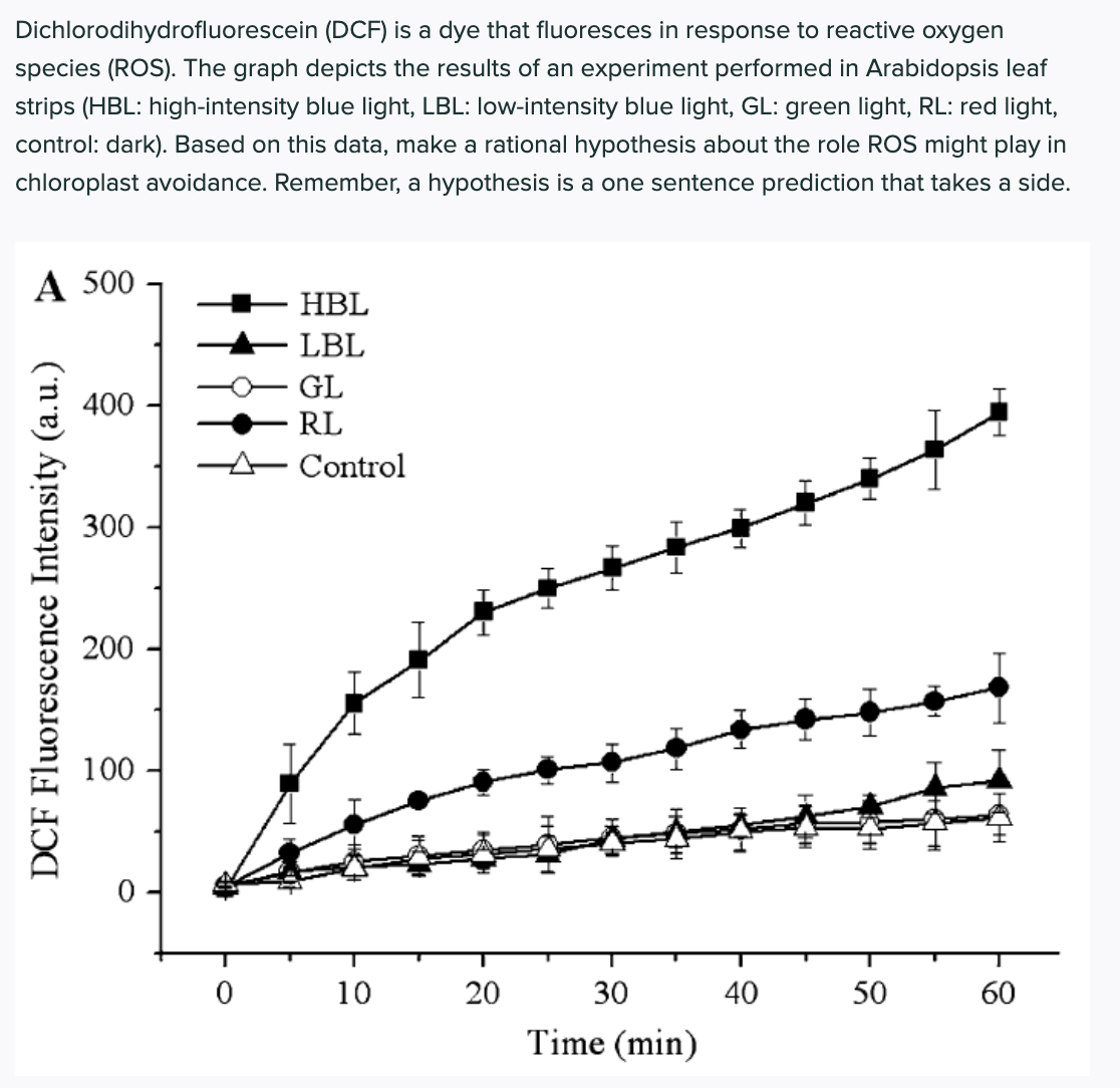 Dichlorodihydrofluorescein (DCF) is a dye that fluoresces in response to reactive oxygen
species (ROS). The graph depicts the results of an experiment performed in Arabidopsis leaf
strips (HBL: high-intensity blue light, LBL: low-intensity blue light, GL: green light, RL: red light,
control: dark). Based on this data, make a rational hypothesis about the role ROS might play in
chloroplast avoidance. Remember, a hypothesis is a one sentence prediction that takes a side.
A 500
HBL
LBL
GL
400
RL
E Control
300
200
100
10
20
30
40
50
60
Time (min)
DCF Fluorescence Intensity (a.u.)
