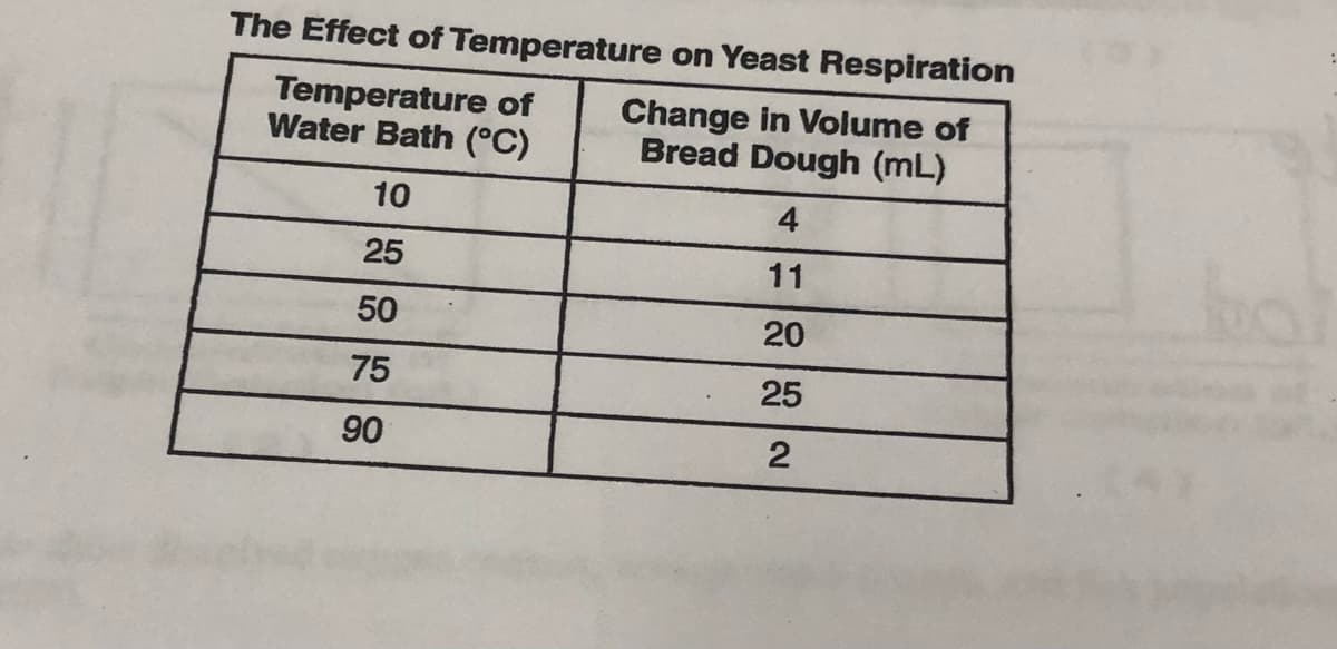 The Effect of Temperature on Yeast Respiration
Temperature of
Water Bath (°C)
Change in Volume of
Bread Dough (mL)
10
4
25
11
50
20
75
25
90
2
