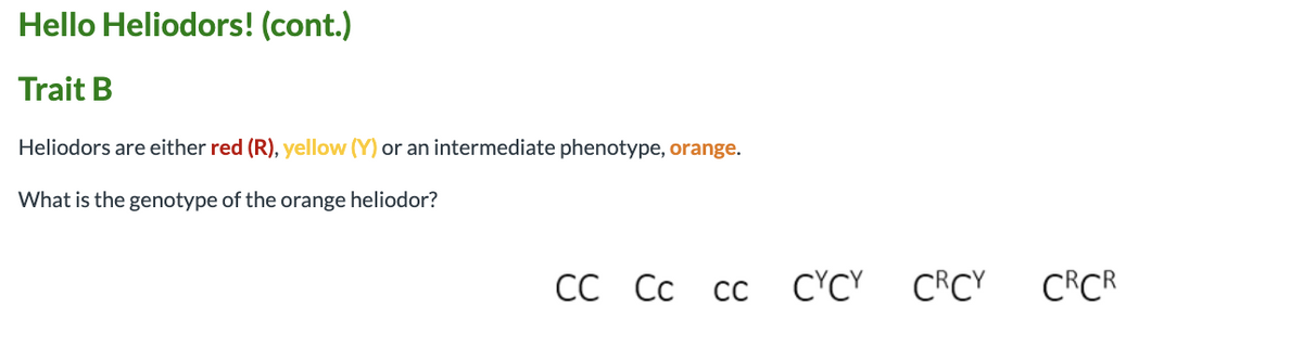 Hello Heliodors! (cont.)
Trait B
Heliodors are either red (R), yellow (Y) or an intermediate phenotype, orange.
What is the genotype of the orange heliodor?
СС Сс
cc C'CY CRCY
CRCR
