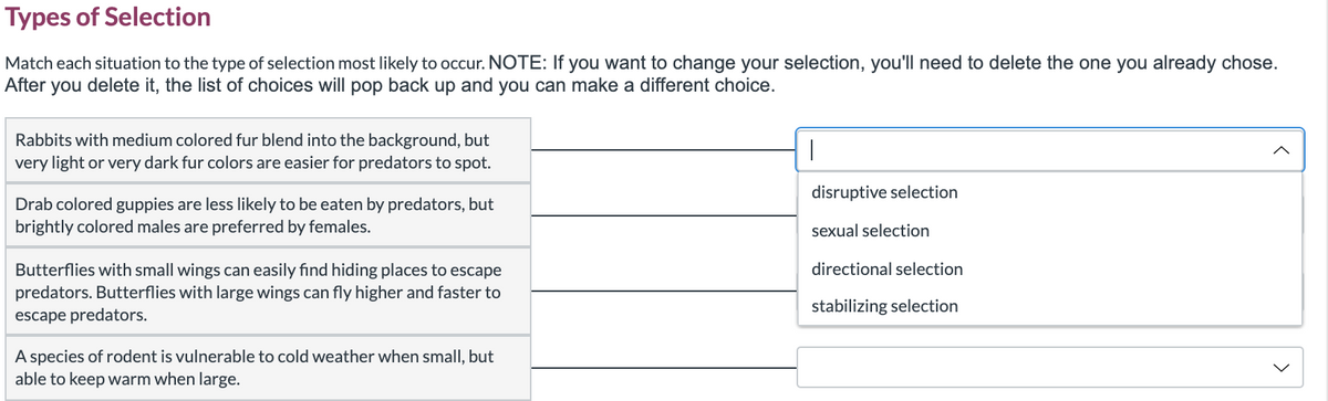 Types of Selection
Match each situation to the type of selection most likely to occur. NOTE: If you want to change your selection, you'll need to delete the one you already chose.
After
you delete it, the list of choices will pop back up and you can make a different choice.
Rabbits with medium colored fur blend into the background, but
very light or very dark fur colors are easier for predators to spot.
disruptive selection
Drab colored guppies are less likely to be eaten by predators, but
brightly colored males are preferred by females.
sexual selection
Butterflies with small wings can easily find hiding places to escape
predators. Butterflies with large wings can fly higher and faster to
directional selection
stabilizing selection
escape predators.
A species of rodent is vulnerable to cold weather when small, but
able to keep warm when large.

