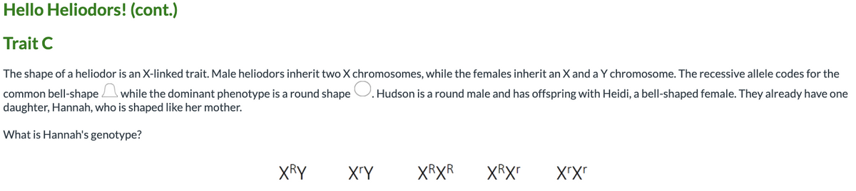 Hello Heliodors! (cont.)
Trait C
The shape of a heliodor is an X-linked trait. Male heliodors inherit two X chromosomes, while the females inherit an X and a Y chromosome. The recessive allele codes for the
common bell-shape while the dominant phenotype is a round shape U. Hudson is a round male and has offspring with Heidi, a bell-shaped female. They already have one
daughter, Hannah, who is shaped like her mother.
What is Hannah's genotype?
XRY
XrY
XRXR
XRXr
