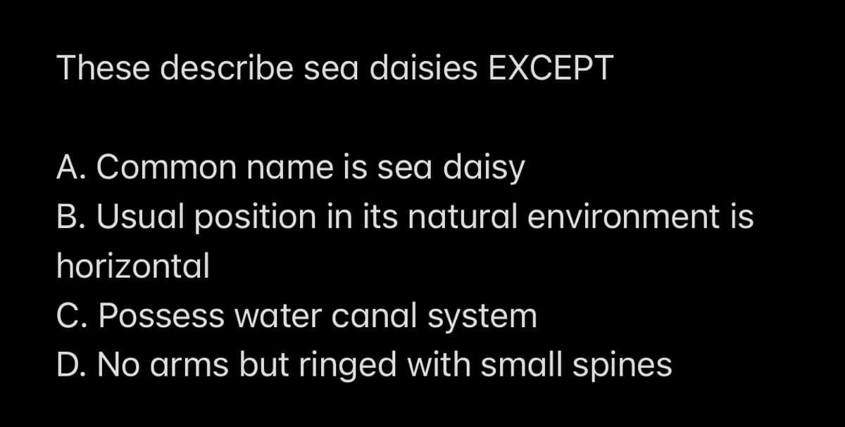These describe sea daisies EXCEPT
A. Common name is sea daisy
B. Usual position in its natural environment is
horizontal
C. Possess water canal system
D. No arms but ringed with small spines