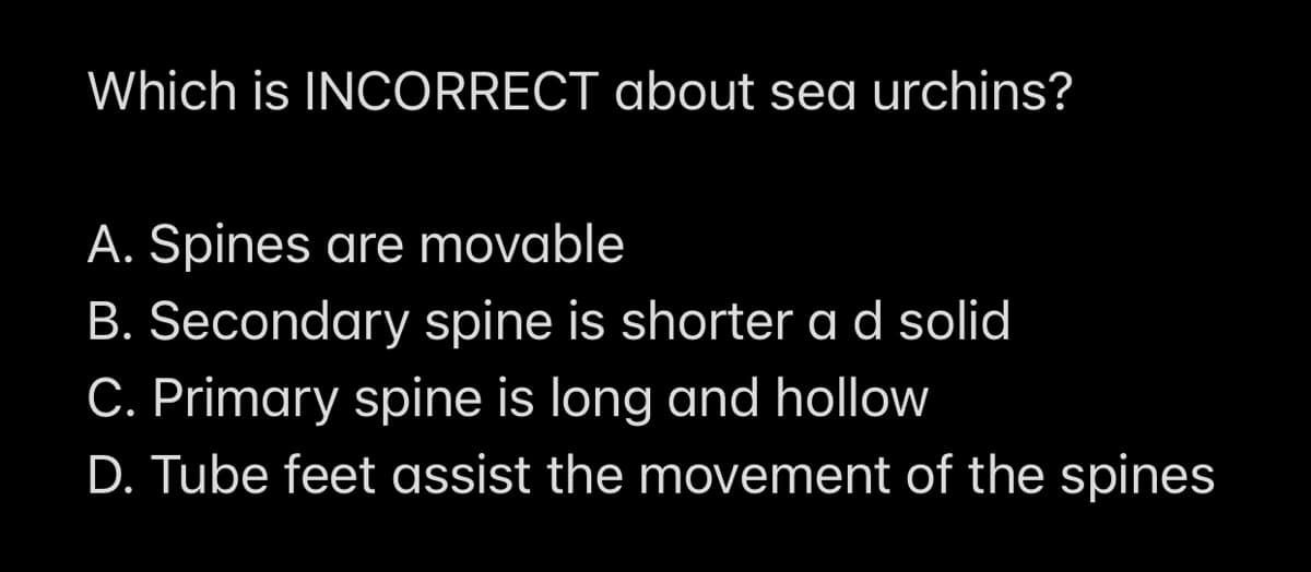 Which is INCORRECT about sea urchins?
A. Spines are movable
B. Secondary spine is shorter a d solid
C. Primary spine is long and hollow
D. Tube feet assist the movement of the spines