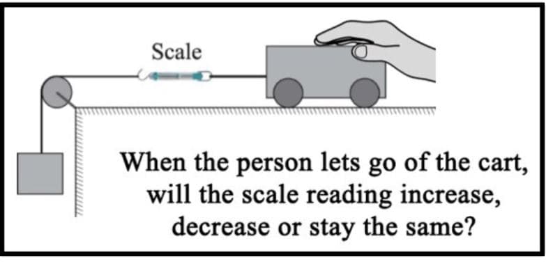 Scale
When the person lets go of the cart,
will the scale reading increase,
decrease or stay the same?
