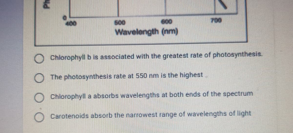 700
600
Wavelength (nm)
500
Chlorophyll b is associated with the greatest rate of photosynthesis.
The photosynthesis rate at 550 nm is the highest.
Chlorophyll a absorbs wavelengths at both ends of the spectrum
Carotenoids absorb the narrowest range of wavelengths of light
