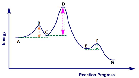 D
в
A
E
G
Reaction Progress
Energy
B.
