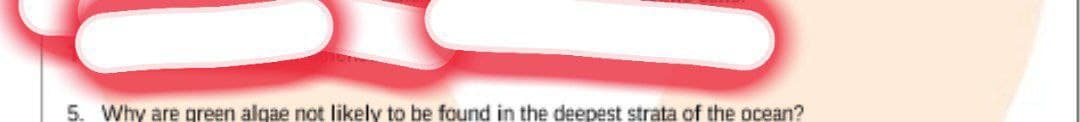 5. Why are green algae not likely to be found in the deepest strata of the ocean?
