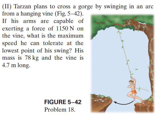 (II) Tarzan plans to cross a gorge by swinging in an arc
from a hanging vine (Fig. 5–42).
If his arms are capable of
exerting a force of 1150 N on
the vine, what is the maximum
speed he can tolerate at the
lowest point of his swing? His
mass is 78 kg and the vine is
4.7 m long.
FIGURE 5-42
Problem 18.
