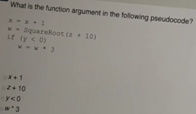 What is the function argument in the following pseudocode?
x = x + 1
w- SquareRoot (z + 10)
if (y < 0)
W -w3
oX+1
OZ+ 10
oy<0
ow 3
