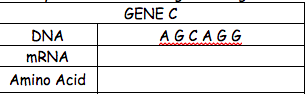 GENE C
DNA
AGCAGG
MRNA
Amino Acid
