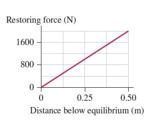 Restoring force (N)
1600
800
0
0
0.25
0.50
Distance below equilibrium (m)

