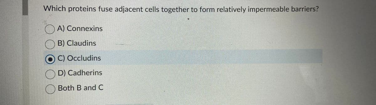 Which proteins fuse adjacent cells together to form relatively impermeable barriers?
A) Connexins
B) Claudins
OC) Occludins
D) Cadherins
Both B and C