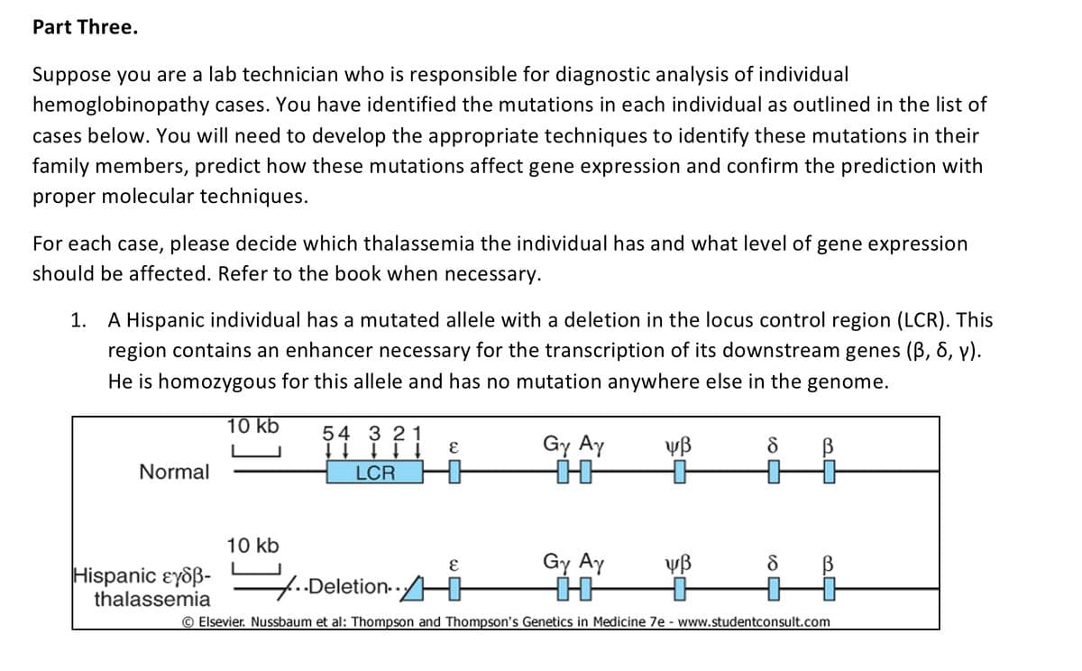 Part Three.
Suppose you are a lab technician who is responsible for diagnostic analysis of individual
hemoglobinopathy cases. You have identified the mutations in each individual as outlined in the list of
cases below. You will need to develop the appropriate techniques to identify these mutations in their
family members, predict how these mutations affect gene expression and confirm the prediction with
proper molecular techniques.
For each case, please decide which thalassemia the individual has and what level of gene expression
should be affected. Refer to the book when necessary.
1. A Hispanic individual has a mutated allele with a deletion in the locus control region (LCR). This
region contains an enhancer necessary for the transcription of its downstream genes (ß, 6, y).
He is homozygous for this allele and has no mutation anywhere else in the genome.
Normal
|Hispanic εγδβ-
thalassemia
10 kb
10 kb
54 3 21
↓↓↓↓↓↓
LCR
E
+
Gy Ay
+
Gy Ay
ψβ
+
-
ψβ
8
+
8
B
...Deletion..
Ⓒ Elsevier. Nussbaum et al: Thompson and Thompson's Genetics in Medicine 7e - www.studentconsult.com
30