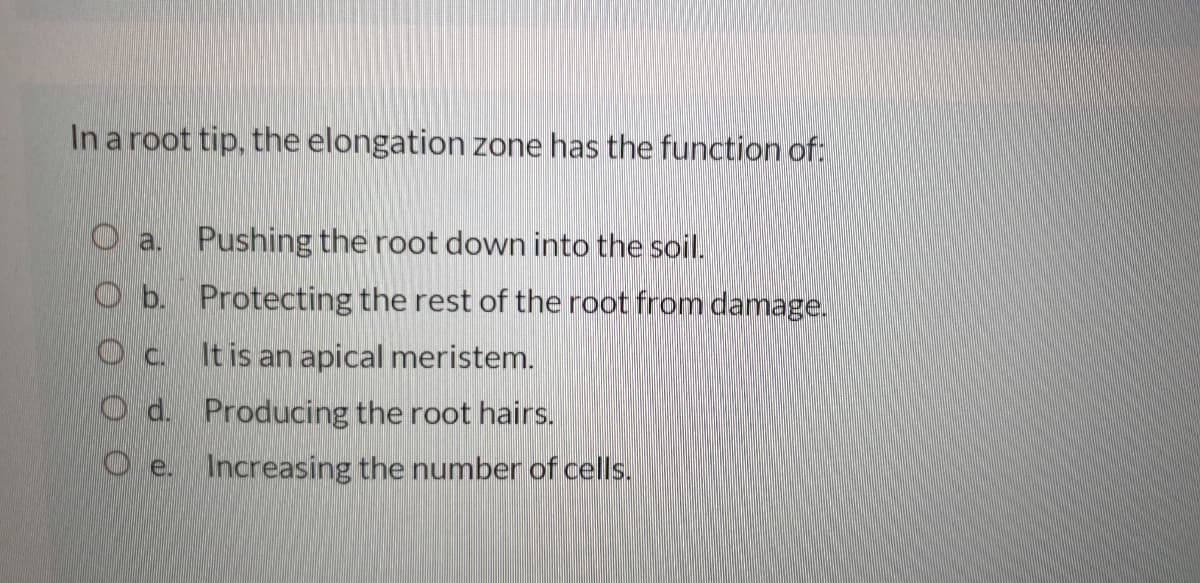 In a root tip, the elongation zone has the function of:
O a. Pushing the root down into the soil.
O b. Protecting the rest of the root from damage.
Oc.
It is an apical meristem.
O d. Producing the root hairs.
O e.
Increasing the number of cells.
