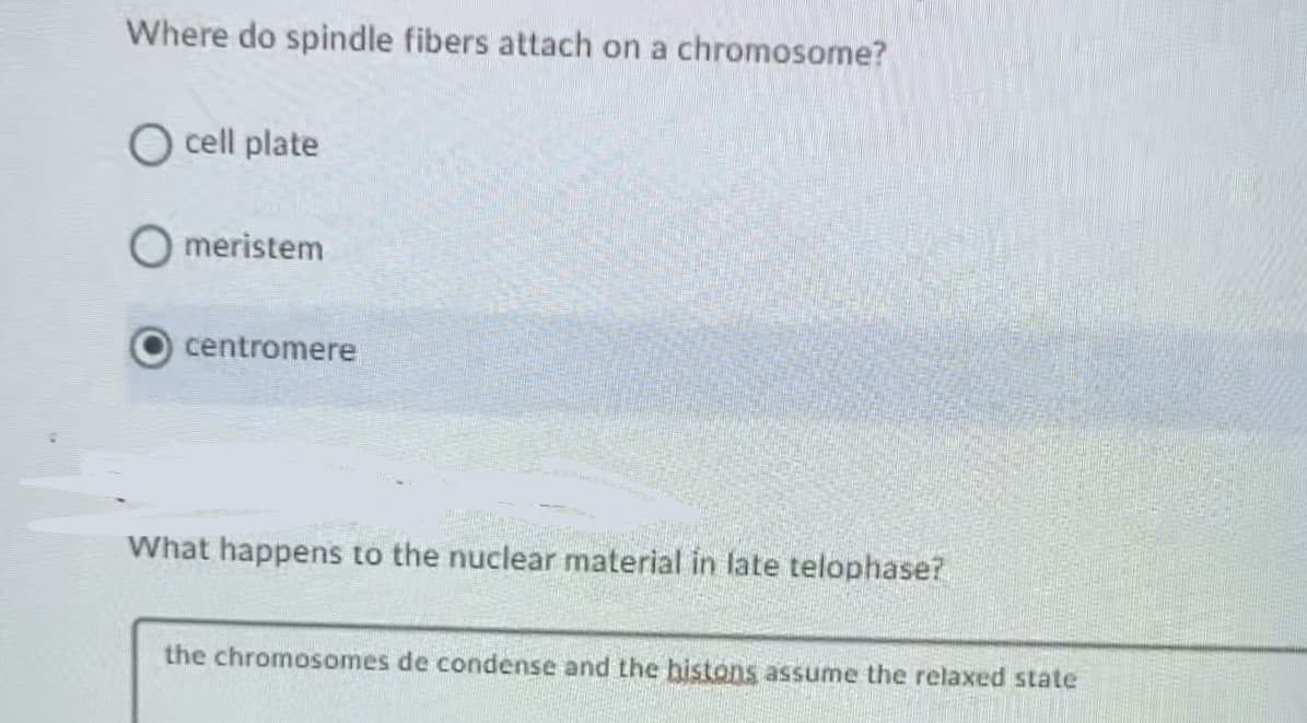 Where do spindle fibers attach on a chromosome?
O cell plate
meristem
centromere
What happens to the nuclear material in late telophase?
the chromosomes de condense and the histons assume the relaxed state
