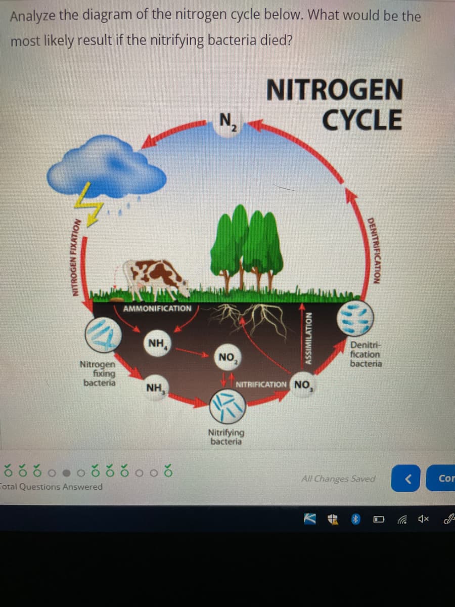 Analyze the diagram of the nitrogen cycle below. What would be the
most likely result if the nitrifying bacteria died?
NITROGEN
CYCLE
AMMONIFICATION
NH,
Denitri-
fication
bacteria
NO
Nitrogen
fixing
bacteria
NITRIFICATION NO.
NH,
Nitrifying
bacteria
All Changes Saved
Cor
Total Questions Answered
NITROGEN FIXATION
ASSIMILATION
DENITRIFICATION
