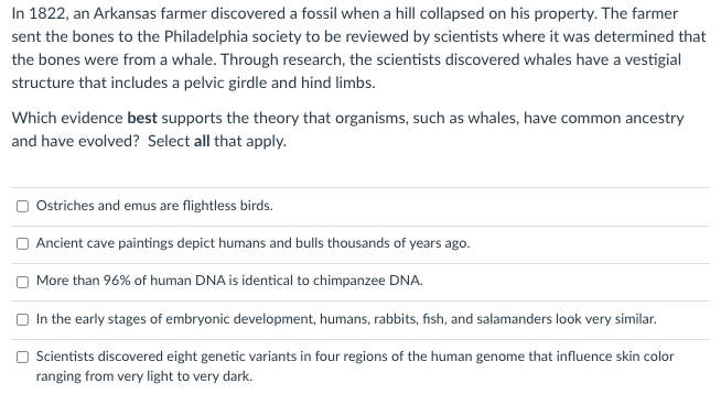 In 1822, an Arkansas farmer discovered a fossil when a hill collapsed on his property. The farmer
sent the bones to the Philadelphia society to be reviewed by scientists where it was determined that
the bones were from a whale. Through research, the scientists discovered whales have a vestigial
structure that includes a pelvic girdle and hind limbs.
Which evidence best supports the theory that organisms, such as whales, have common ancestry
and have evolved? Select all that apply.
O Ostriches and emus are flightless birds.
Ancient cave paintings depict humans and bulls thousands of years ago.
More than 96% of human DNA is identical to chimpanzee DNA.
In the early stages of embryonic development, humans, rabbits, fish, and salamanders look very similar.
O Scientists discovered eight genetic variants in four regions of the human genome that influence skin color
ranging from very light to very dark.
