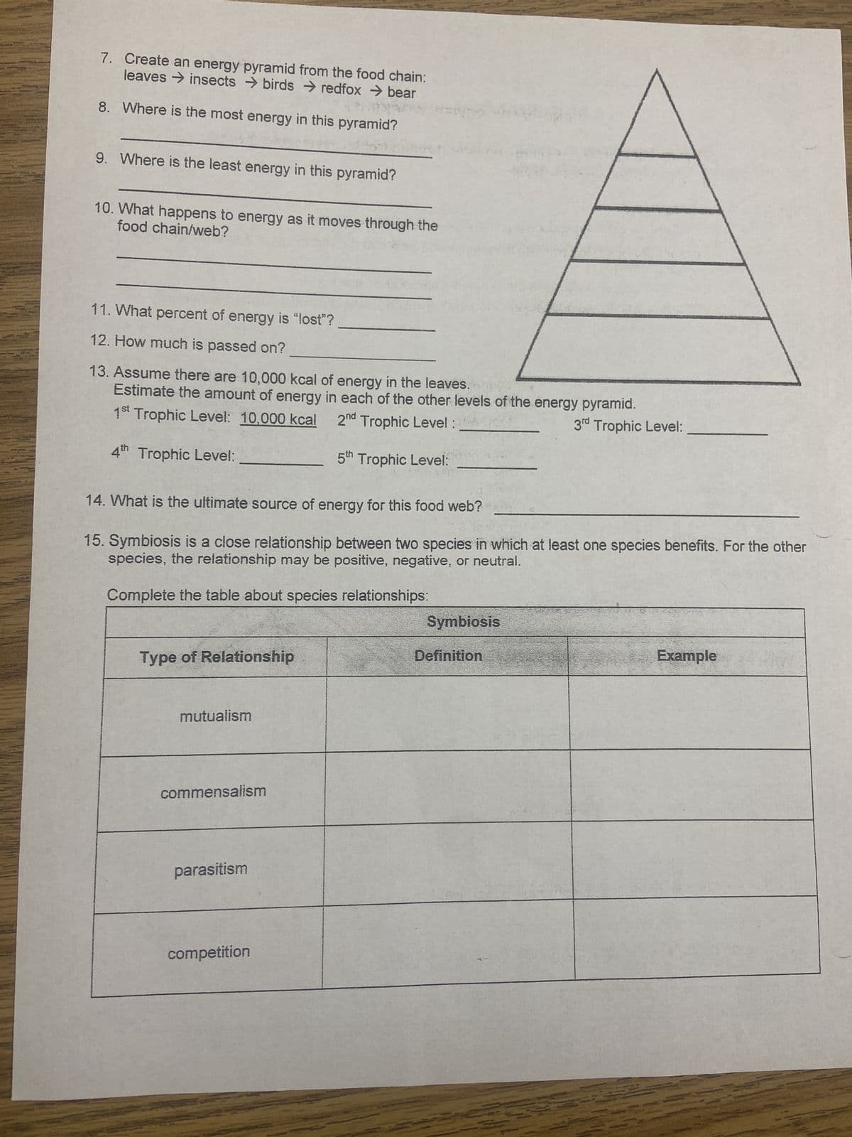 7. Create an energy pyramid from the food chain:
leaves insects → birdsredfox → bear
8. Where is the most energy in this pyramid?
9. Where is the least energy in this pyramid?
10. What happens to energy as it moves through the
food chain/web?
11. What percent of energy is "lost"?
12. How much is passed on?
13. Assume there are 10,000 kcal of energy in the leaves.
Estimate the amount of energy in each of the other levels of the energy pyramid.
1st Trophic Level: 10,000 kcal 2nd Trophic Level:
3rd Trophic Level:
4th Trophic Level:
5th Trophic Level:
14. What is the ultimate source of energy for this food web?
15. Symbiosis is a close relationship between two species in which at least one species benefits. For the other
species, the relationship may be positive, negative, or neutral.
Complete the table about species relationships:
Type of Relationship
mutualism
commensalism
parasitism
competition
Symbiosis
Definition
Example