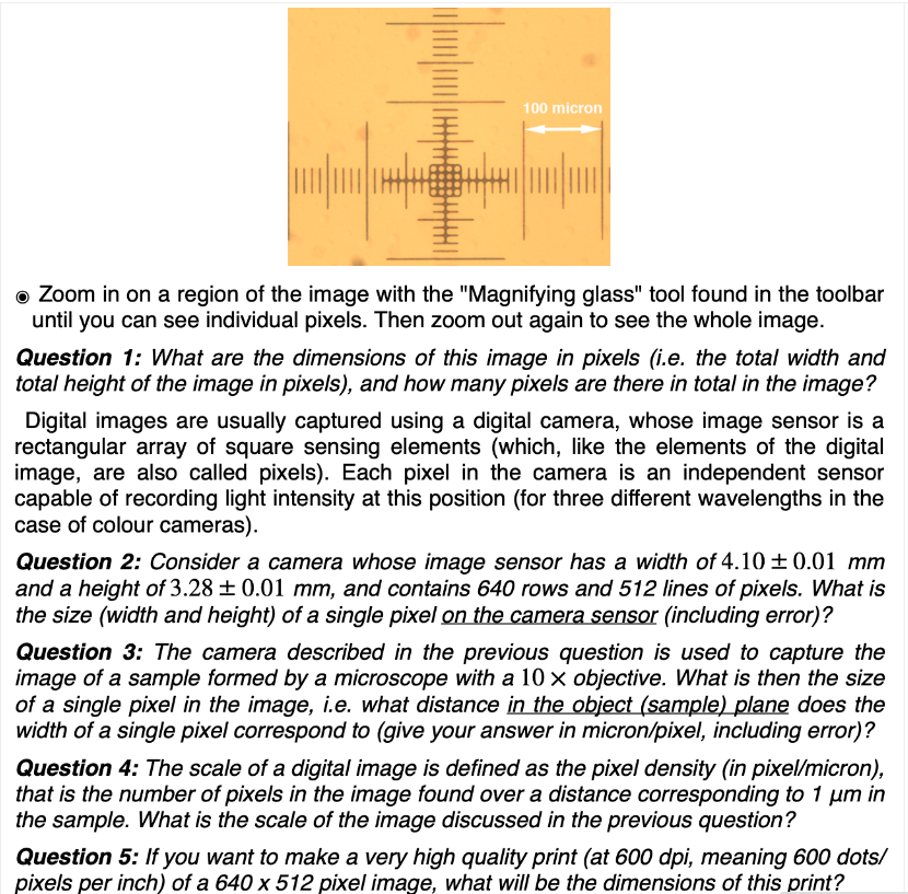 100 micron
o Zoom in on a region of the image with the "Magnifying glass" tool found in the toolbar
until you can see individual pixels. Then zoom out again to see the whole image.
Question 1: What are the dimensions of this image in pixels (i.e. the total width and
total height of the image in pixels), and how many pixels are there in total in the image?
Digital images are usually captured using a digital camera, whose image sensor is a
rectangular array of square sensing elements (which, like the elements of the digital
image, are also called pixels). Each pixel in the camera is an independent sensor
capable of recording light intensity at this position (for three different wavelengths in the
case of colour cameras).
Question 2: Consider a camera whose image sensor has a width of 4.10 + 0.01 mm
and a height of 3.28 ± 0.01 mm, and contains 640 rows and 512 lines of pixels. What is
the size (width and height) of a single pixel on the camera sensor (including error)?
Question 3: The camera described in the previous question is used to capture the
image of a sample formed by a microscope with a 10 x objective. What is then the size
of a single pixel in the image, i.e. what distance in the object (sample) plane does the
width of a single pixel correspond to (give your answer in micron/pixel, including error)?
Question 4: The scale of a digital image is defined as the pixel density (in pixel/micron),
that is the number of pixels in the image found over a distance corresponding to 1 um in
the sample. What is the scale of the image discussed in the previous question?
Question 5: If you want to make a very high quality print (at 600 dpi, meaning 600 dots/
pixels per inch) of a 640 x 512 pixel image, what will be the dimensions of this print?
