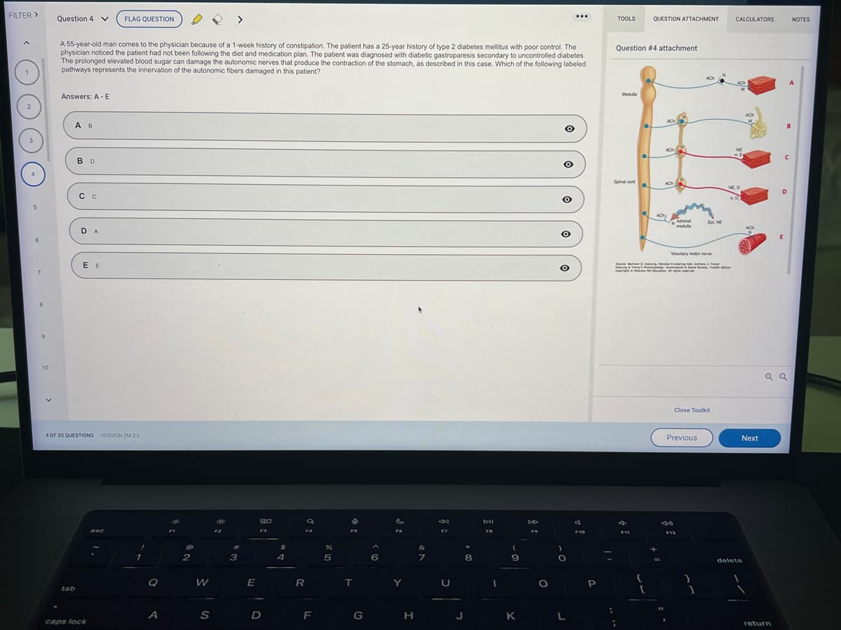 FILTER >
5
6
7
8
9
10
Question 4 v FLAG QUESTION
A 55-year-old man comes to the physician because of a 1-week history of constipation. The patient has a 25-year history of type 2 diabetes mellitus with poor control. The
physician noticed the patient had not been following the diet and medication plan. The patient was diagnosed with diabetic gastroparesis secondary to uncontrolled diabetes.
The prolonged elevated blood sugar can damage the autonomic nerves that produce the contraction of the stomach, as described in this case. Which of the following labeled
pathways represents the innervation of the autonomic fibers damaged in this patient?
.
Answers: A - E
A B
tab
BD
C C
DA
4 OF 33 QUESTIONS VERSION 3M 30
EE
caps lock
esc
Q
A
@
2
W
S
300
#
3
E
80
F3
D
$
4
R
a
F
%
5
e
FS
T
G
6
Y
H
&
7
da
F7
U
J
8
Dil
FO
I
(
9
K
DD
F9
O
O
O
O
O
)
O
L
4
F10
P
:
TOOLS
Question #4 attachment
Medulla
Spinal cord
;
Coc
4
F11
QUESTION ATTACHMENT
[
ACH
+
=
AC
A
11
Adrenal
medulla
Arved
Voluntary motor nerve
Previous
(20)
F12
Close Toolkit
ACH
}
Ep, NE
1
CALCULATORS
NE
NE, O
a. D
delete
Next
D
return
E
Q Q
NOTES
A