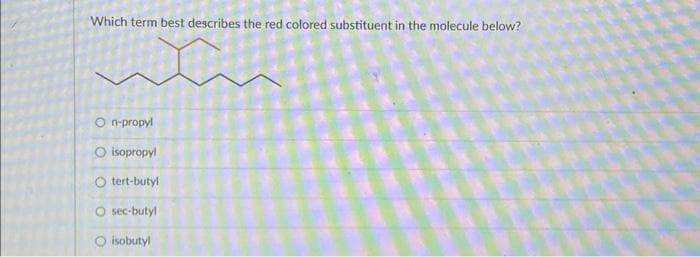 Which term best describes the red colored substituent in the molecule below?
On-propyl
O isopropyl
O tert-butyl
O sec-butyl
isobuty!