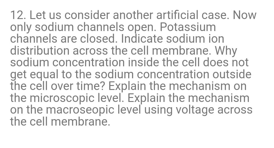 12. Let us consider another artificial case. Now
only sodium channels open. Potassium
channels are closed. Indicate sodium ion
distribution across the cell membrane. Why
sodium concentration inside the cell does not
get equal to the sodium concentration outside
the cell over time? Explain the mechanism on
the microscopic level. Explain the mechanism
on the macroseopic level using voltage across
the cell membrane.