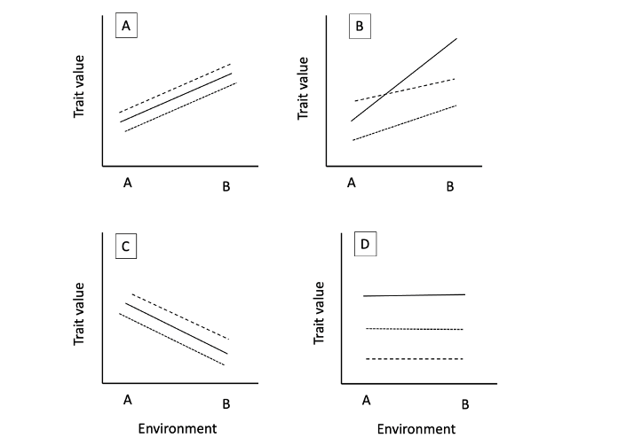 A
A
B
A
В
D
A
B
A
В
Environment
Environment
Trait value
Trait value
Trait value
Trait value
B.
