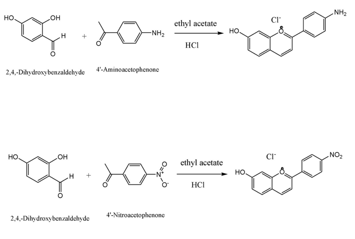 OH
L
HO.
H
2,4,-Dihydroxybenzaldehyde
HO
OH
of
H
+
2,4,-Dihydroxybenzaldehyde
-NH₂
4'-Aminoacetophenone
o
4'-Nitroacetophenone
ethyl acetate
HC1
ethyl acetate
HC1
НО,
HO.
CI™
CI™
NH₂
NO₂