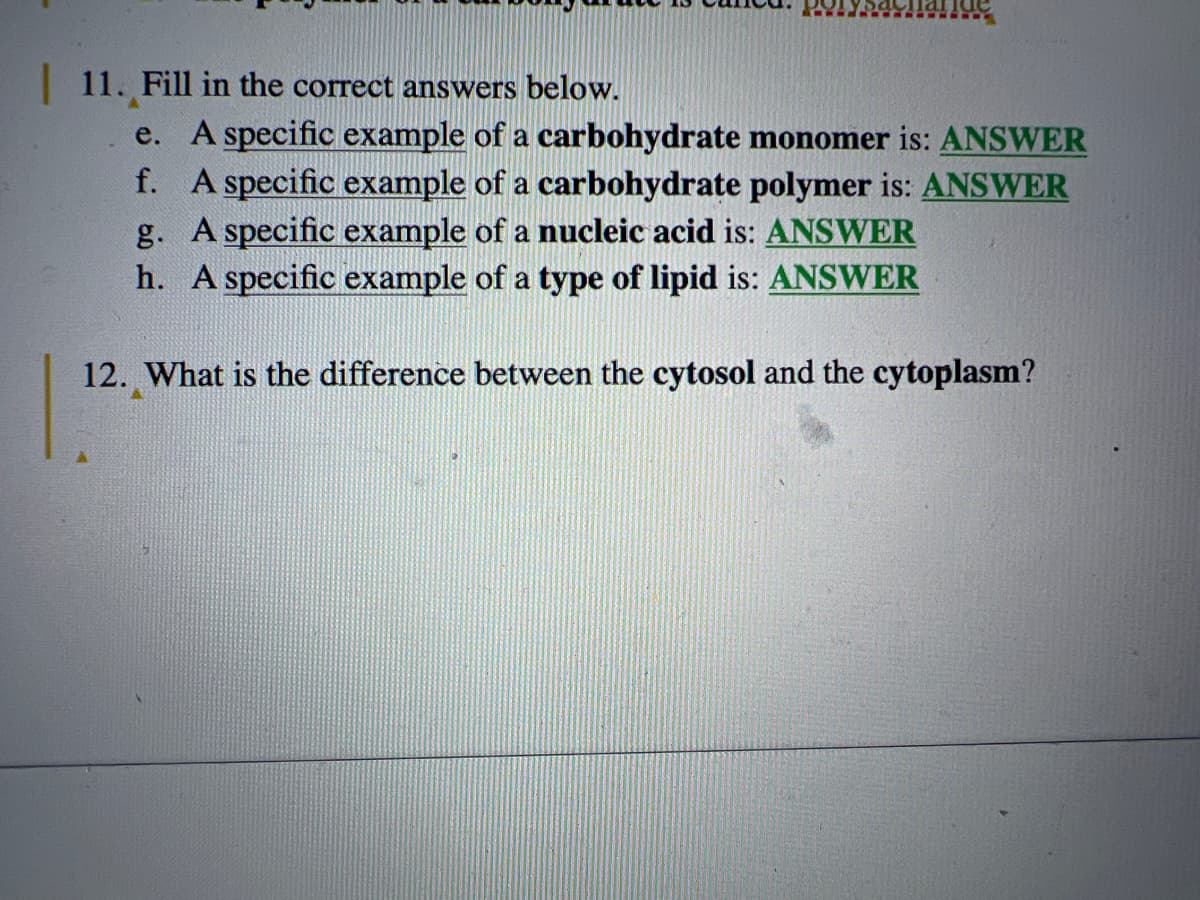 | 11. Fill in the correct answers below.
e. A specific example of a carbohydrate monomer is: ANSWER
f. A specific example of a carbohydrate polymer is: ANSWER
g. A specific example of a nucleic acid is: ANSWER
h. A specific example of a type of lipid is: ANSWER
12. What is the difference between the cytosol and the cytoplasm?