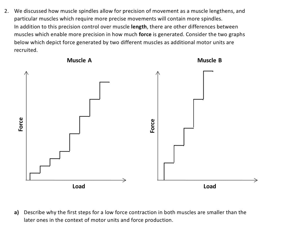 2. We discussed how muscle spindles allow for precision of movement as a muscle lengthens, and
particular muscles which require more precise movements will contain more spindles.
In addition to this precision control over muscle length, there are other differences between
muscles which enable more precision in how much force is generated. Consider the two graphs
below which depict force generated by two different muscles as additional motor units are
recruited.
Force
Muscle A
Load
Force
Muscle B
Load
a) Describe why the first steps for a low force contraction in both muscles are smaller than the
later ones in the context of motor units and force production.