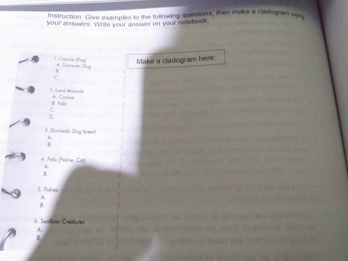 Instruction: Give examples to the following questions, then make a cladogram using
Instruction: Give examples to the following questions, then make a cladogram usin
your answers. Write your answer on your notebook.
1. Conine (Dog)
A. Domestic Dog
Make a cladogram here:
C.
2. Land Animals
A. Canine
B. Felis
C.
D.
3. Domestic Dog breed
A.
B.
4. Felis (Feline; Cat)
A.
B.
5. Fishes
A.
В.
6. Seafloor Creatures
A.
8.
