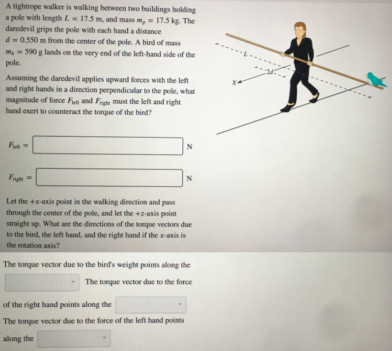 A tightrope walker is walking between two buildings holding
a pole with length L = 17.5 m, and mass m, = 17.5 kg. The
daredevil grips the pole with each hand a distance
d = 0.550 m from the center of the pole. A bird of mass
590 g lands on the very end of the left-hand side of the
pole.
m =
Assuming the daredevil applies upward forces with the left
and right hands in a direction perpendicular to the pole, what
magnitude of force Fjeft and Fright must the left and right
hand exert to counteract the torque of the bird?
Fjeft
N
Fright
N
%3D
Let the +x-axis point in the walking direction and pass
through the center of the pole, and let the +z-axis point
straight up. What are the directions of the torque vectors due
to the bird, the left hand, and the right hand if the x-axis is
the rotation axis?
The torque vector due to the bird's weight points along the
The torque vector due to the force
of the right hand points along the
The torque vector due to the force of the left hand points
along the
