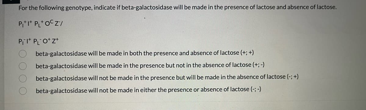For the following genotype, indicate if beta-galactosidase will be made in the presence of lactose and absence of lactose.
P₁+1+PL+OcZ/
P₁1 P₁O+Z+
O O O
beta-galactosidase will be made in both the presence and absence of lactose (+; +)
beta-galactosidase will be made in the presence but not in the absence of lactose (+;-)
beta-galactosidase will not be made in the presence but will be made in the absence of lactose (-; +)
beta-galactosidase will not be made in either the presence or absence of lactose (-;-)