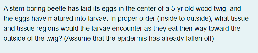 A stem-boring beetle has laid its eggs in the center of a 5-yr old wood twig, and
the eggs have matured into larvae. In proper order (inside to outside), what tissue
and tissue regions would the larvae encounter as they eat their way toward the
outside of the twig? (Assume that the epidermis has already fallen off)
