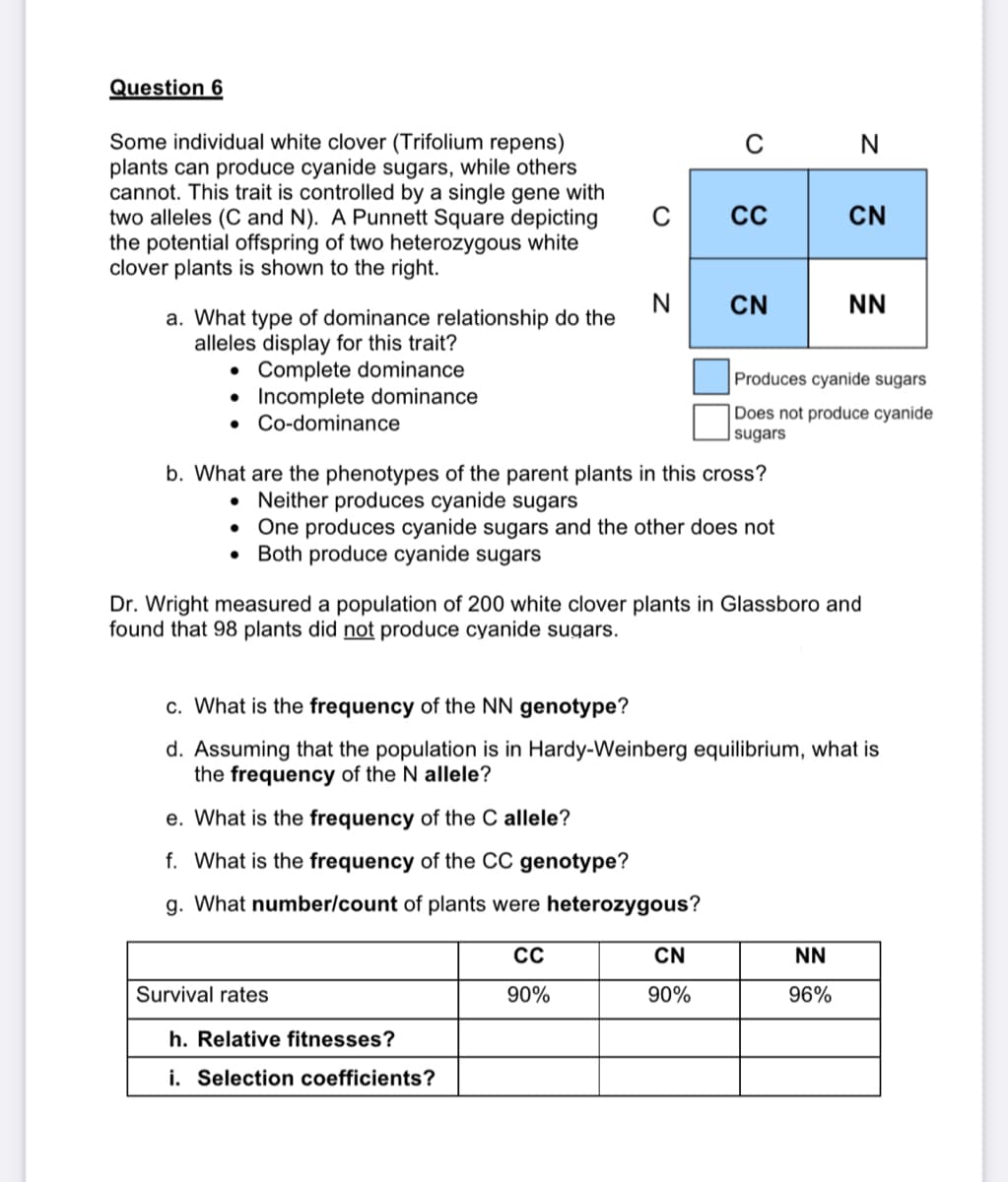 Question 6
Some individual white clover (Trifolium repens)
plants can produce cyanide sugars, while others
cannot. This trait is controlled by a single gene with
two alleles (C and N). A Punnett Square depicting
the potential offspring of two heterozygous white
clover plants is shown to the right.
CN
N
CN
NN
a. What type of dominance relationship do the
alleles display for this trait?
Complete dominance
• Incomplete dominance
Co-dominance
Produces cyanide sugars
Does not produce cyanide
sugars
b. What are the phenotypes of the parent plants in this cross?
• Neither produces cyanide sugars
One produces cyanide sugars and the other does not
Both produce cyanide sugars
Dr. Wright measured a population of 200 white clover plants in Glassboro and
found that 98 plants did not produce cyanide sugars.
c. What is the frequency of the NN genotype?
d. Assuming that the population is in Hardy-Weinberg equilibrium, what is
the frequency of the N allele?
e. What is the frequency of the C allele?
f. What is the frequency of the CC genotype?
g. What number/count of plants were heterozygous?
CN
NN
Survival rates
90%
90%
96%
h. Relative fitnesses?
i. Selection coefficients?
