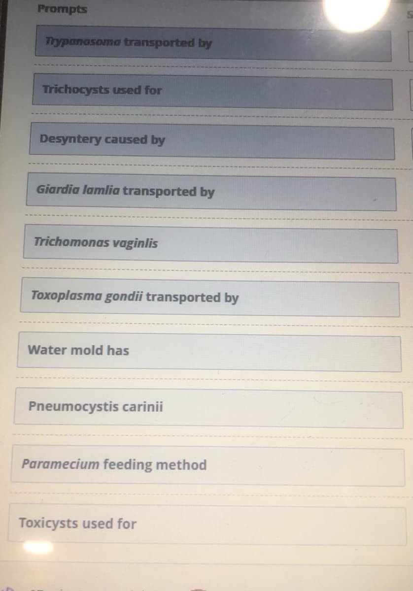Prompts
Trypanosoma transported by
Trichocysts used for
Desyntery caused by
Giardia lamlia transported by
Trichomonas vaginlis
Toxoplasma gondii transported by
Water mold has
Pneumocystis carinii
Paramecium feeding method
Toxicysts used for
