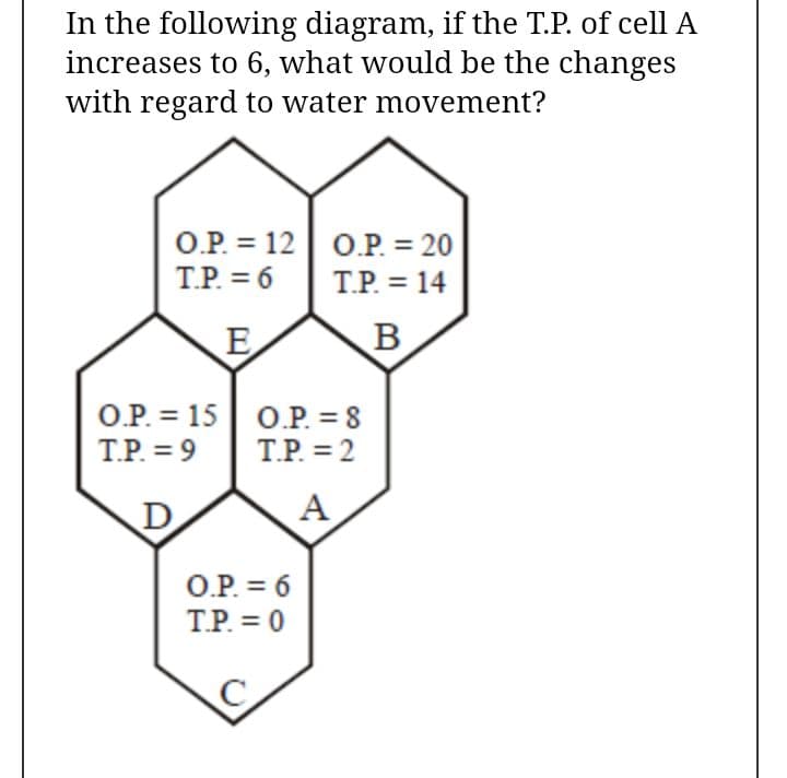 In the following diagram, if the T.P. of cell A
increases to 6, what would be the changes
with regard to water movement?
O.P. = 12| O.P. = 20
T.P. = 6
T.P. = 14
E
O.P. = 15| 0.P. = 8
T.P. = 9
T.P. = 2
D
A
O.P. = 6
T.P. = 0
