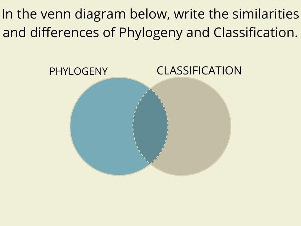 In the venn diagram below, write the similarities
and differences of Phylogeny and Classification.
PHYLOGENY
CLASSIFICATION
