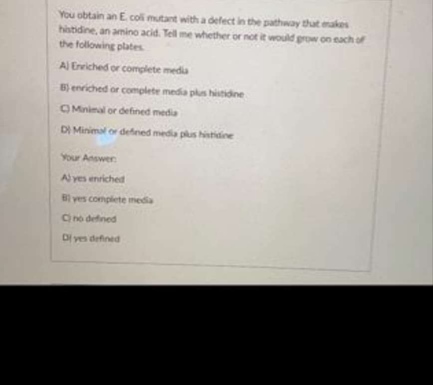 You obtain an E coli mutant with a defect in the pathway that emakes
histidine, an amino acid. Tell me whether or not it would grow on each of
the following plates
Al Enriched or complete media
B) enriched or complete media plus histidine
OMinimal or defined media
DI Minimal or defined media plus histidine
Your Answer
Alyes enriched
Bl yes compliete media
Cno defined
Di yes defined
