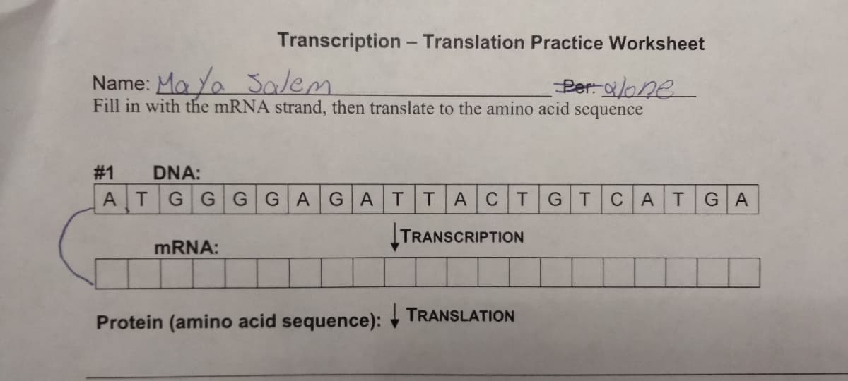 Transcription - Translation Practice Worksheet
Name: Ma Ya Salem
Per alone
Fill in with the mRNA strand, then translate to the amino acid sequence
#1
DNA:
ATGGGGAGAT TACT GT CATGA
TRANSCRIPTION
mRNA:
Protein (amino acid sequence):
TRANSLATION