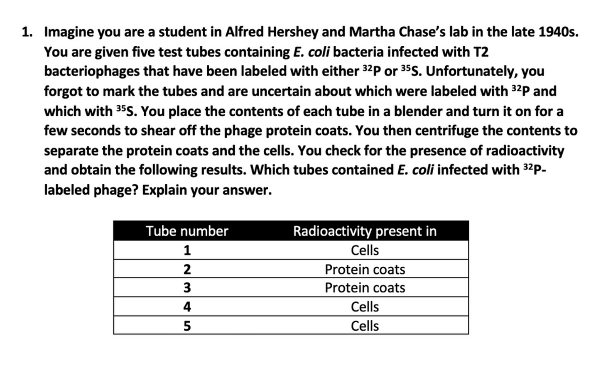 1. Imagine you are a student in Alfred Hershey and Martha Chase's lab in the late 1940s.
You are given five test tubes containing E. coli bacteria infected with T2
bacteriophages that have been labeled with either ³2P or ³5S. Unfortunately, you
forgot to mark the tubes and are uncertain about which were labeled with ³2P and
which with ³5S. You place the contents of each tube in a blender and turn it on for a
few seconds to shear off the phage protein coats. You then centrifuge the contents to
separate the protein coats and the cells. You check for the presence of radioactivity
and obtain the following results. Which tubes contained E. coli infected with ³2P-
labeled phage? Explain your answer.
Tube number
1
2
3
4
5
Radioactivity present in
Cells
Protein coats
Protein coats
Cells
Cells